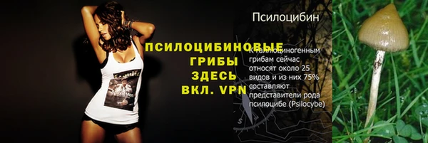 МДПВ Балахна